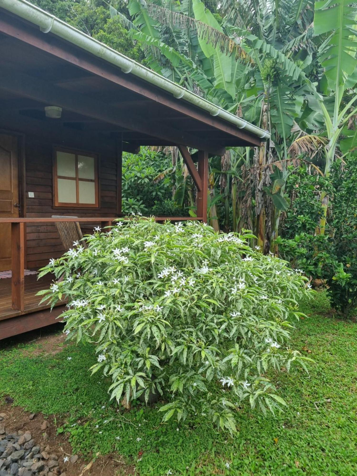 Painapaopao Backpacker Hostel Moorea Bagian luar foto